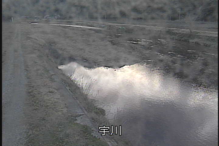 �J�����摜