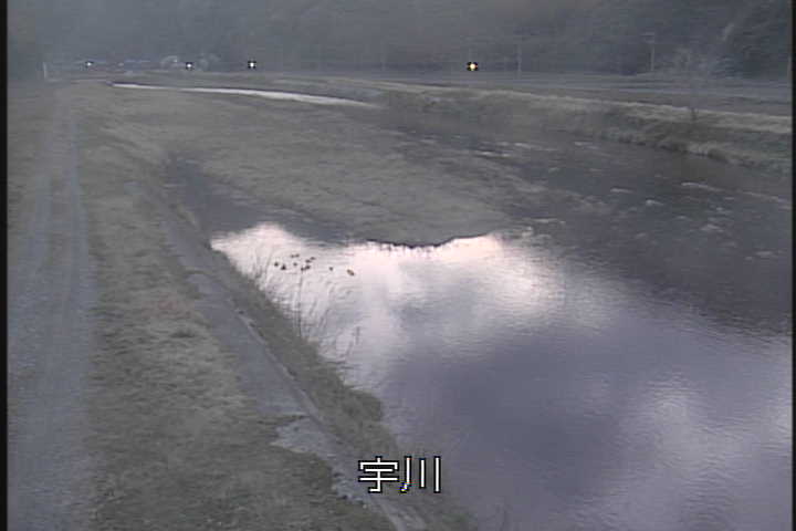 �J�����摜