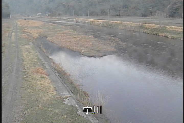 �J�����摜