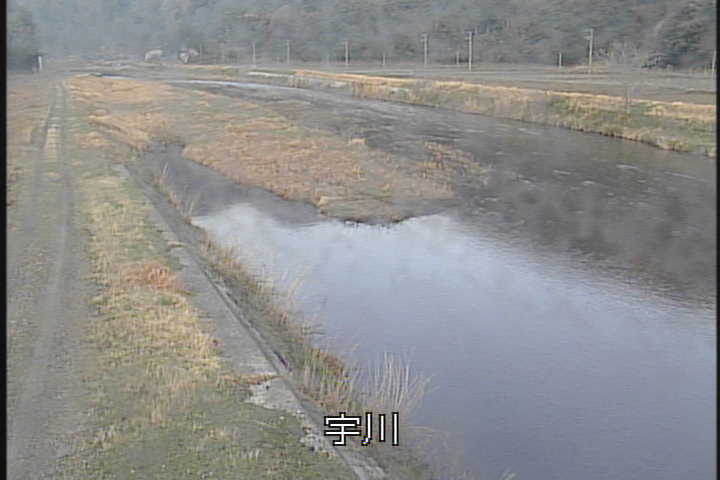 �J�����摜