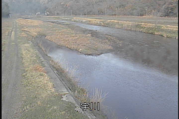 �J�����摜