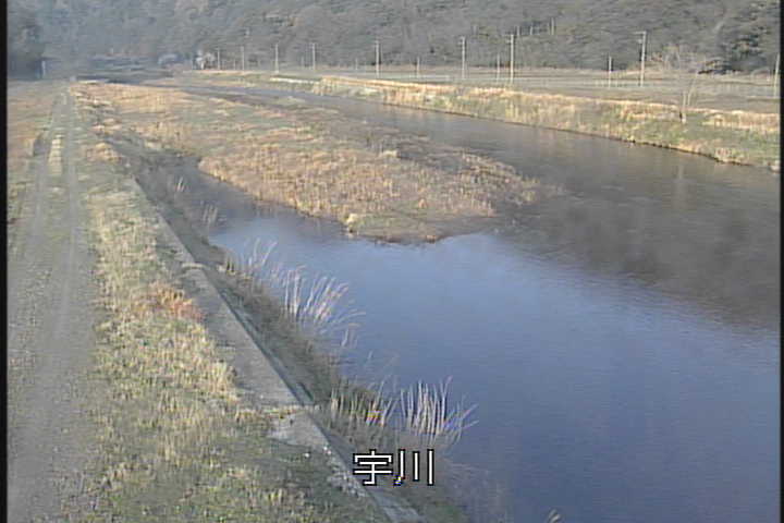 �J�����摜