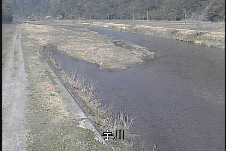 �J�����摜