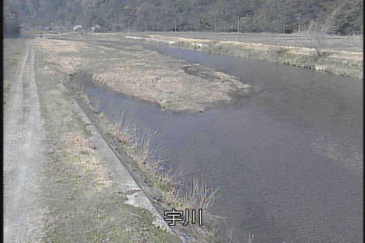 �J�����摜