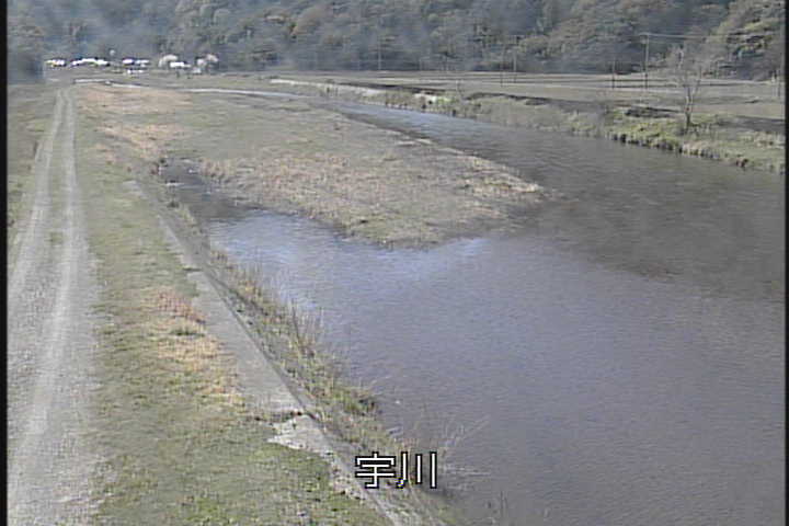 �J�����摜