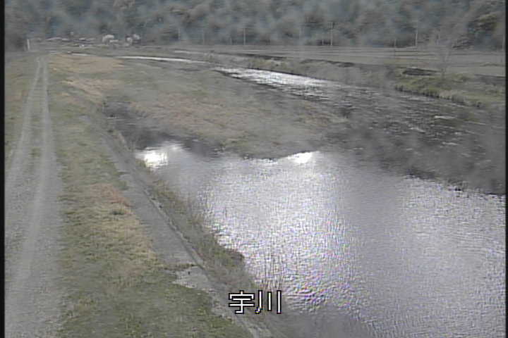 �J�����摜