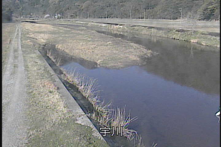 �J�����摜