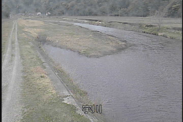 �J�����摜