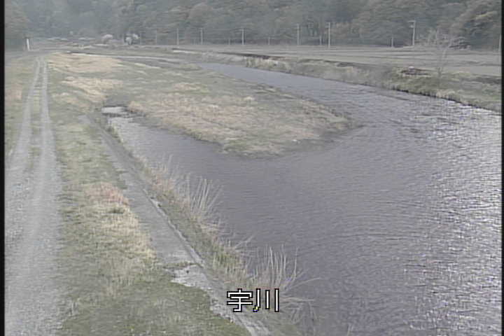 �J�����摜