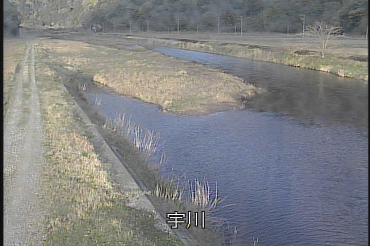 �J�����摜