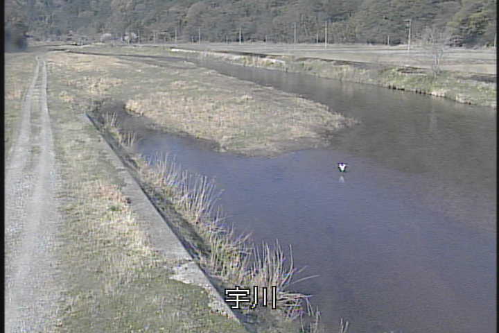 �J�����摜