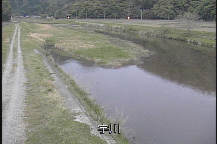 �J�����摜