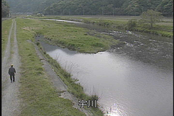 �J�����摜