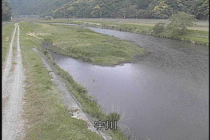 �J�����摜
