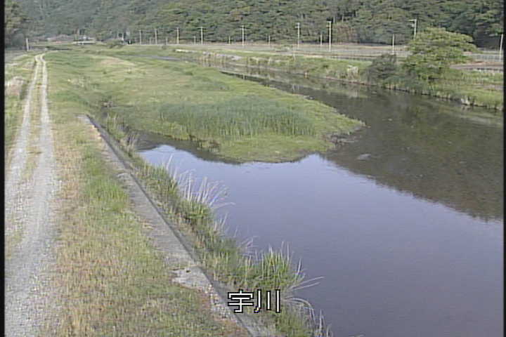 �J�����摜