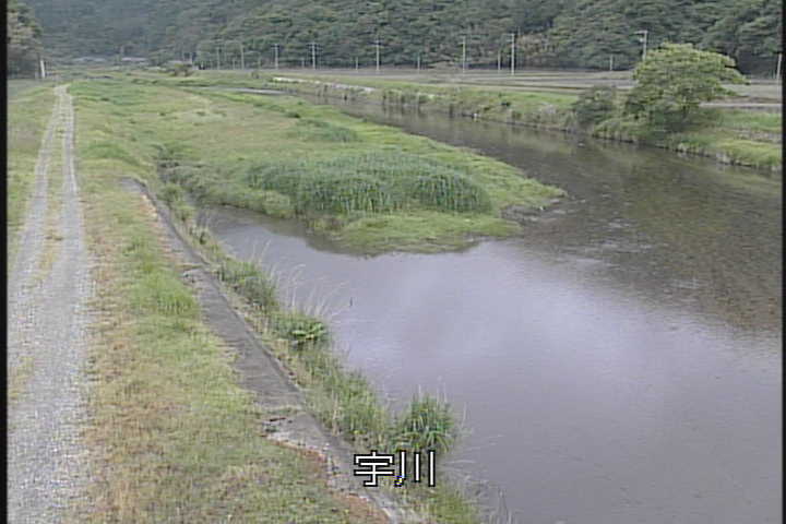 �J�����摜