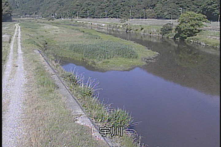 �J�����摜