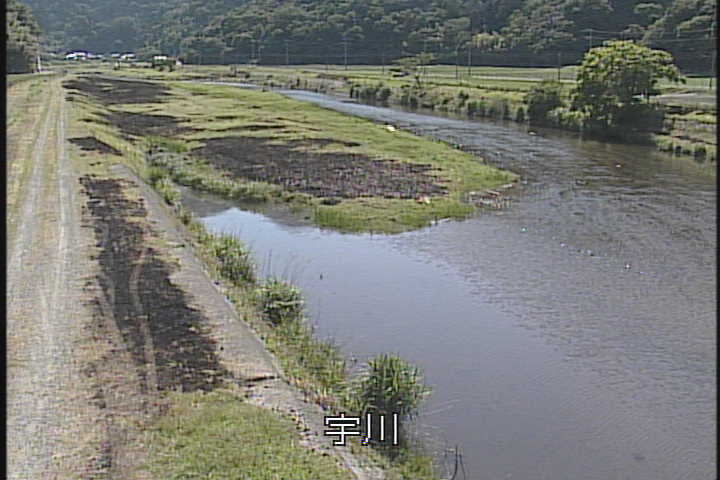 �J�����摜