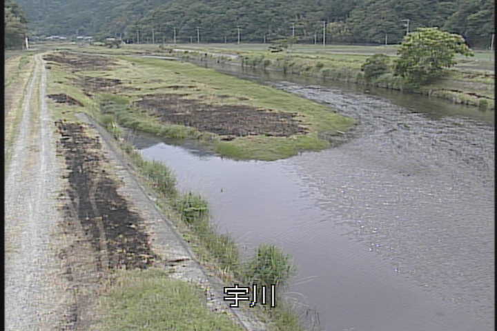 �J�����摜