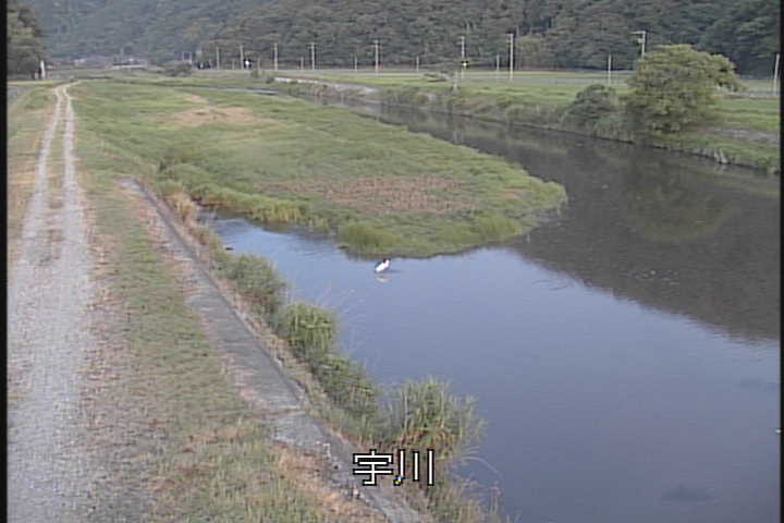 �J�����摜