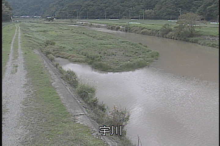 �J�����摜