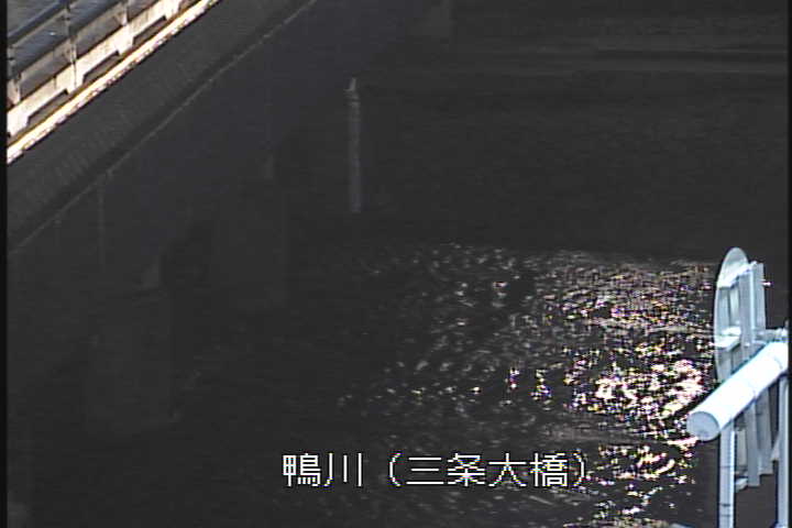 �J�����摜