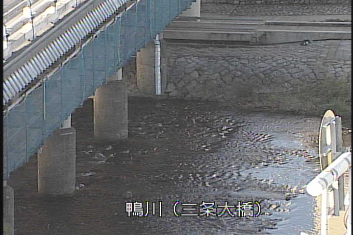 �J�����摜