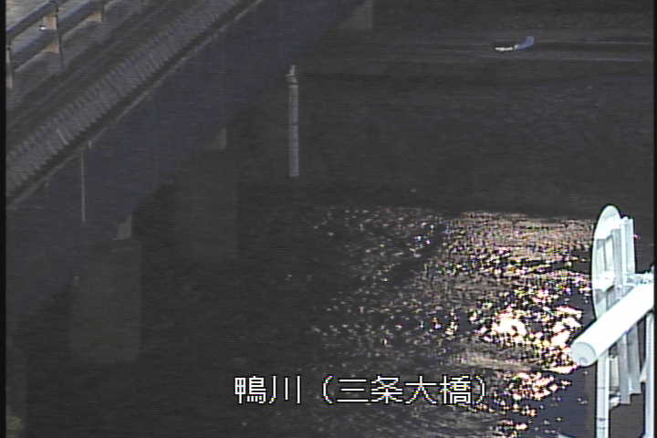 �J�����摜