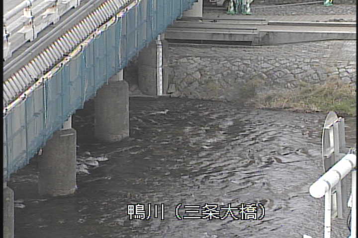 �J�����摜