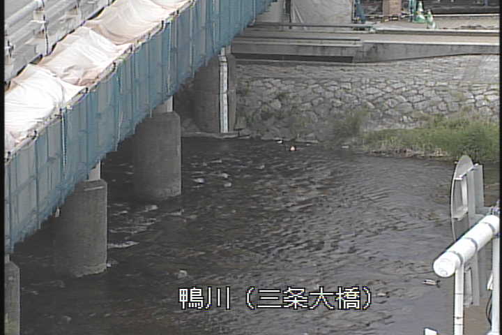 �J�����摜