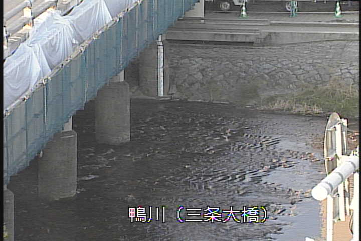 �J�����摜