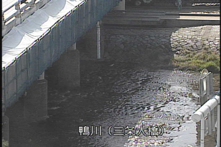 �J�����摜