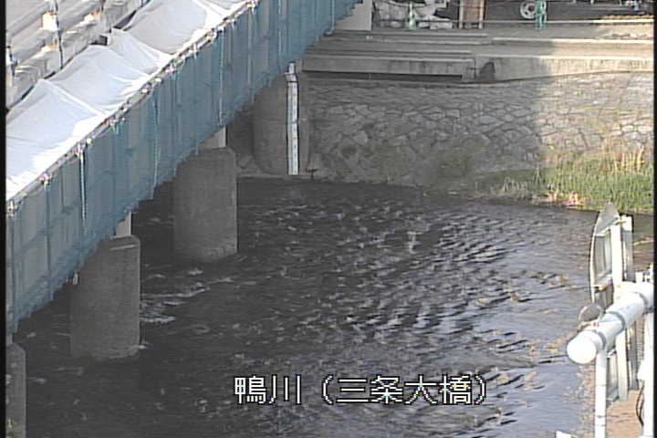 �J�����摜