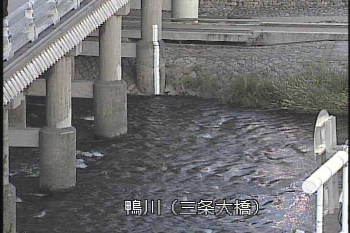 �J�����摜