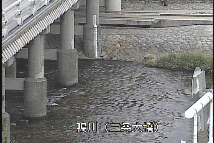 �J�����摜
