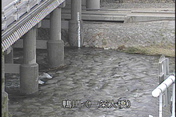 �J�����摜