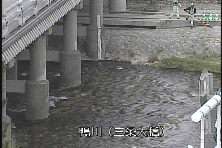 �J�����摜