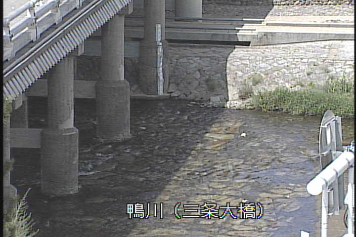 �J�����摜