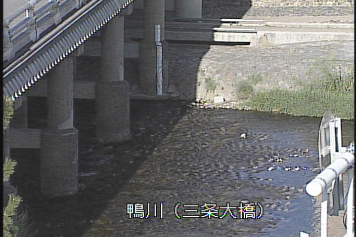 �J�����摜