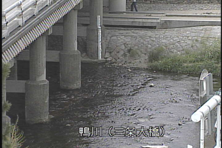 �J�����摜