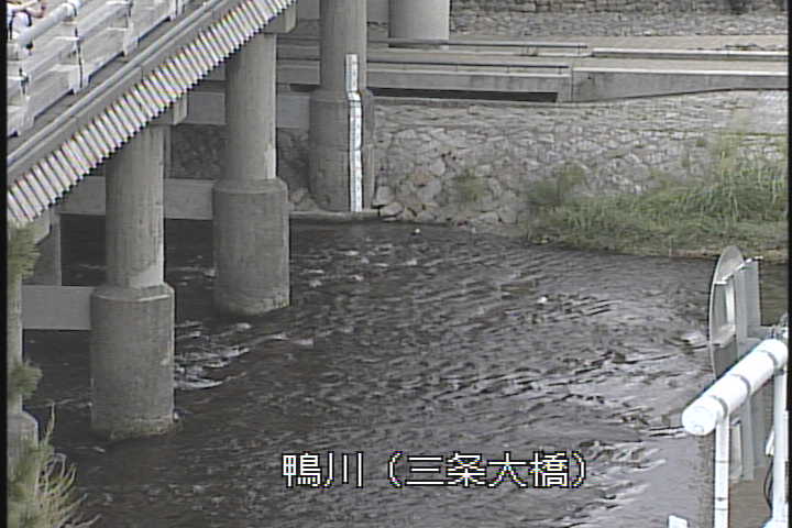 �J�����摜