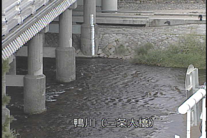 �J�����摜