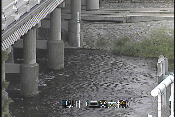�J�����摜