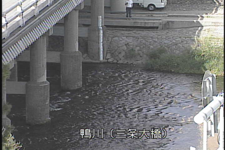 �J�����摜