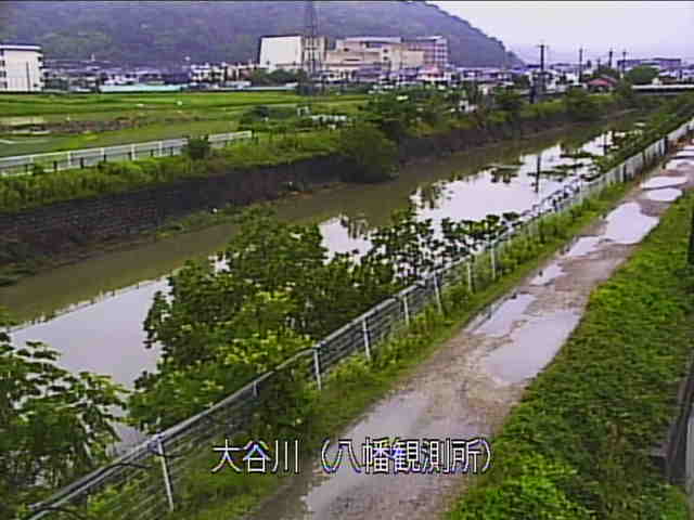 �J�����摜