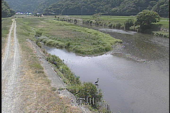 J摜