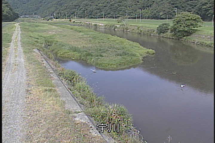 J摜