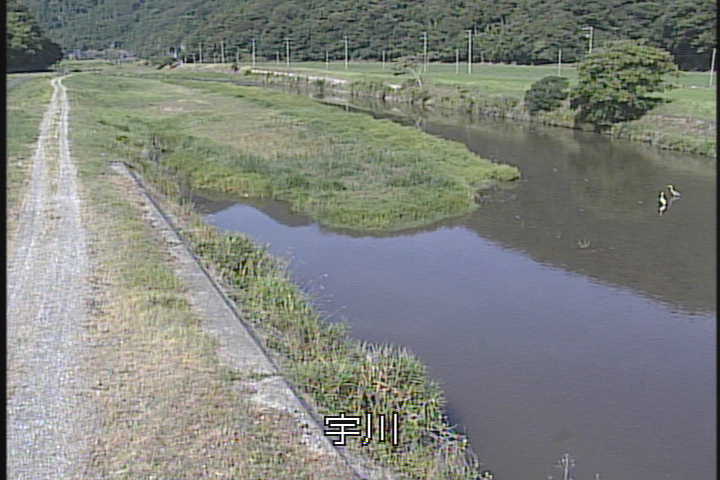 J摜