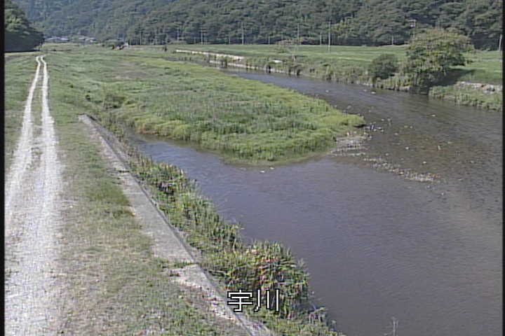 J摜