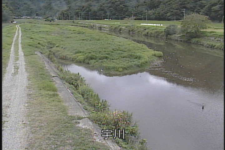 J摜